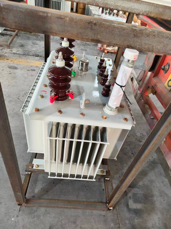 S13‑1000kVA 邻水邻水邻水油浸式变压器 大型厂区 S13 邻水邻水邻水油浸式变压器